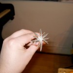 whisk3